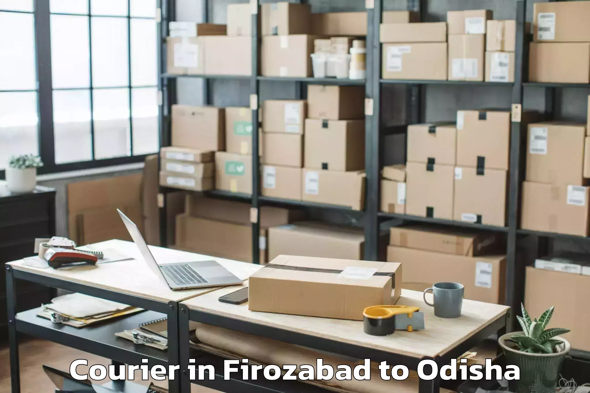 Top Firozabad to Mudulipada Courier Available